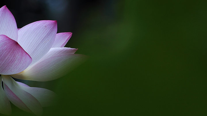 男篮世界杯中国73-86尼日利亚无缘直通奥运 易建联取27分-ayx官方网站(图1) 爱游戏(ayx)中国官方网站