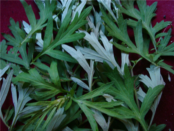 张琳芃:亚运会已经尽力 不会因转会影响亚洲杯|ayx官方网站(图3) 爱游戏(ayx)中国官方网站