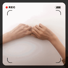 ayx官方网站|水上舞台演开幕式彩排 海心沙看台直播国奥惨败(图2) ayx官网