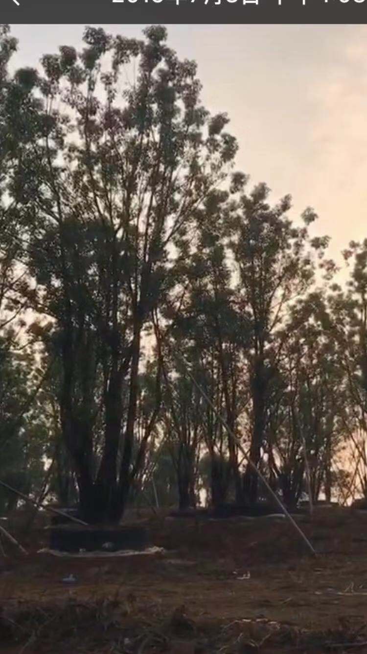 ayx官方网站_新人与老女足差距大商瑞华:别把崛起想简单了(图4) ayx官方网站