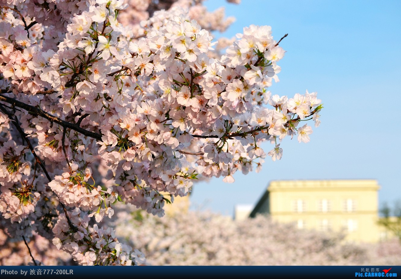 篮球女神石一童 长相酷似江疏影 退役后打街球走红 31岁太美了-ayx官方网站(图1) ayx官方网站