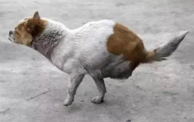 英国小姐惨遭毒打后头破血流‘ayx官方网站’(图3) 爱游戏(ayx)中国官方网站