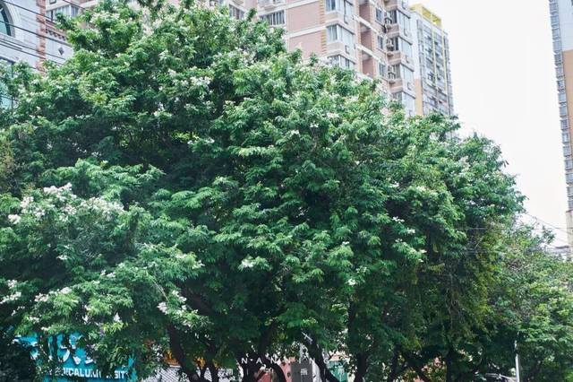 爱游戏（ayx）中国官方网站