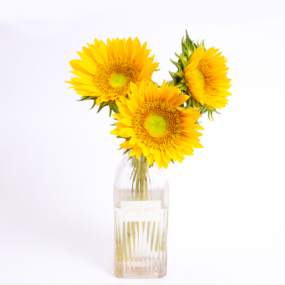 ‘ayx官网’2016年最受期待的韩国三部古装剧 每一部都是颜值大片(图1) 爱游戏(ayx)中国官方网站