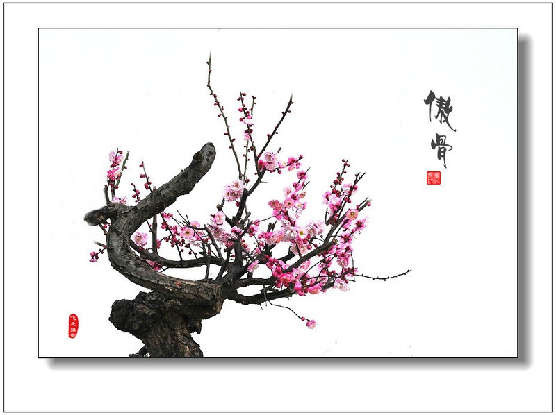 【爱游戏(ayx)中国官方网站】南韩Kpop迎来新四大时代 SM娱乐一骑绝尘排榜首(图1) ayx官网