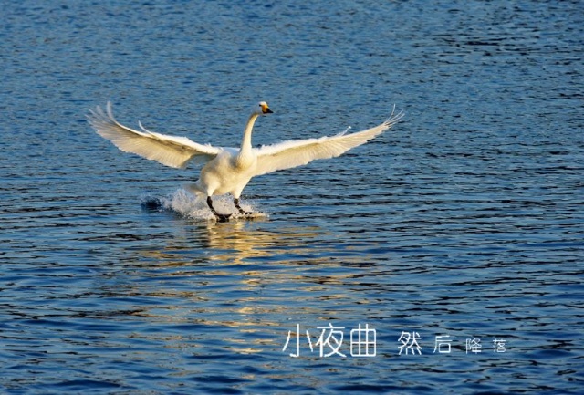 ayx官网_贺州市现代特色农业核心示范区考评组到钟山考评验收(图2) ayx官网