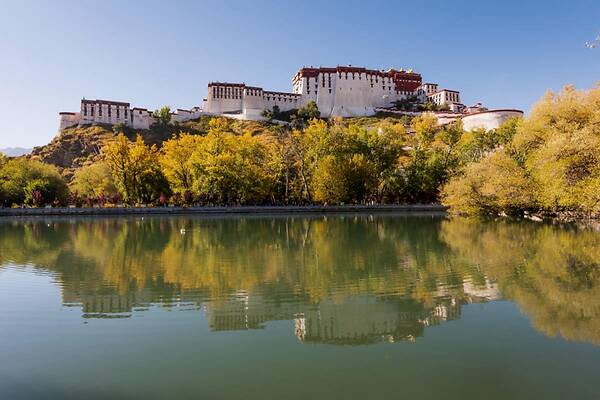 县税务局举办国税地税征管体制改革专题党课-ayx官方网站