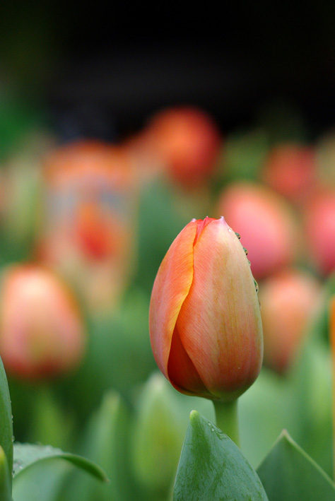 邓涵文:短期内不回重庆 意外入选国足尚有不足:ayx官方网站(图1) 爱游戏(ayx)中国官方网站