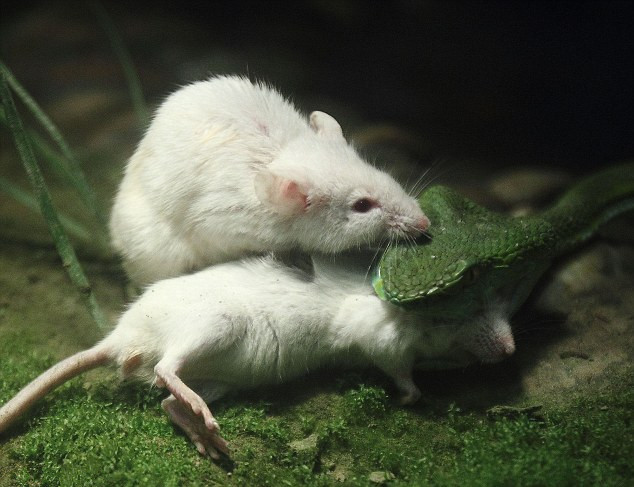 爱游戏（ayx）中国官方网站