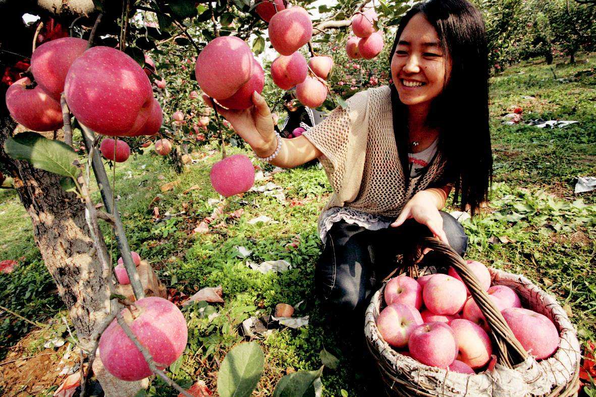 爱游戏（ayx）中国官方网站