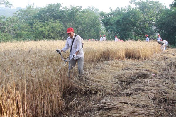 中共广西省工委历史博物馆(钟山县英家党性教育培训中心)被确定为全区党员教育培训示范基地|ayx官方网站(图2) ayx官网