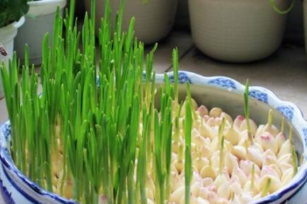 县公安局召开迎接2017年执法质量考核评议动员部署会|ayx官网(图1) ayx官网