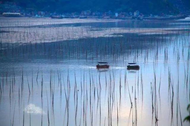 爱游戏（ayx）中国官方网站